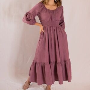 Emme Eliza maternity and nursing dress size small, elderberry